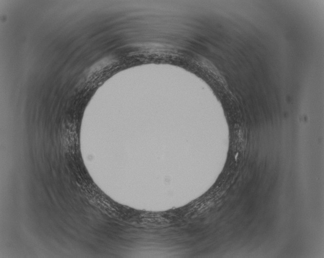 X0000083610918200703121558