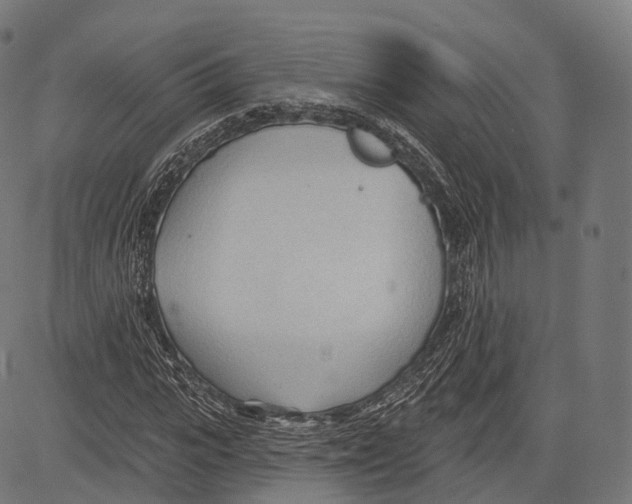 X0000083610919200703121558