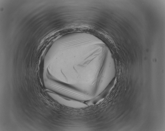 X0000083610920200703121558