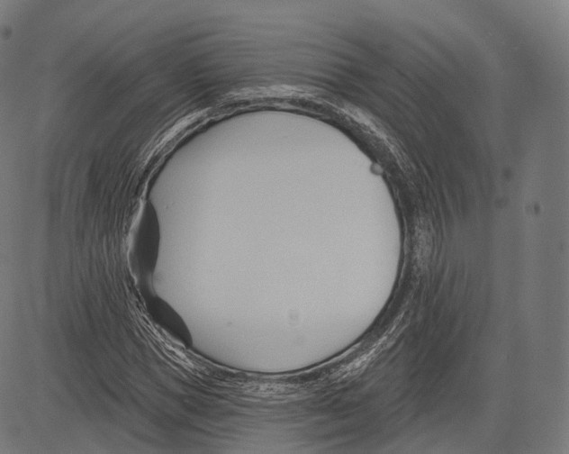 X0000083610921200703121558