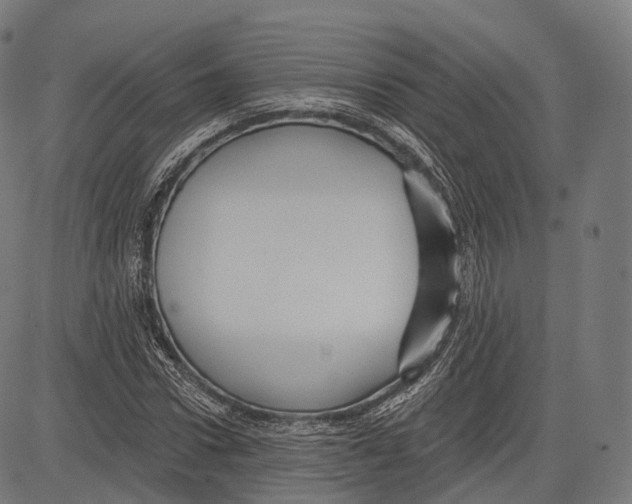 X0000083610922200703121558