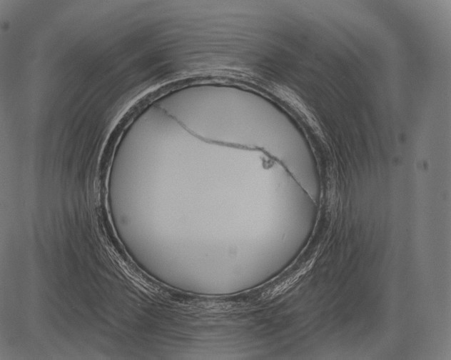 X0000083610924200703121558