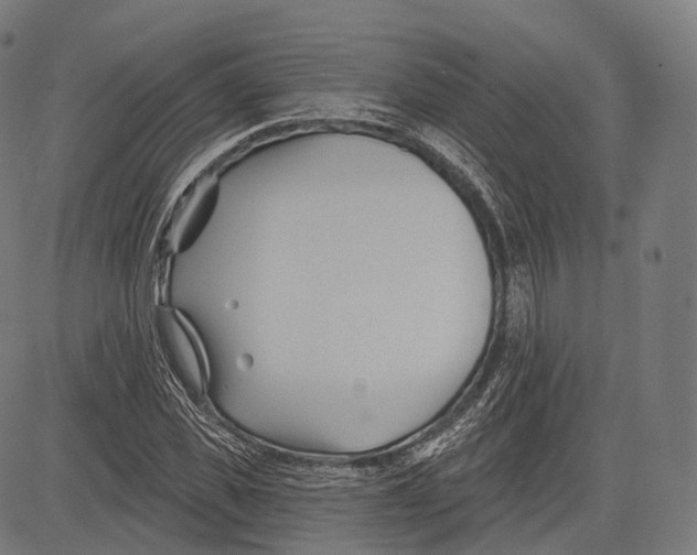 X0000083610925200703121558