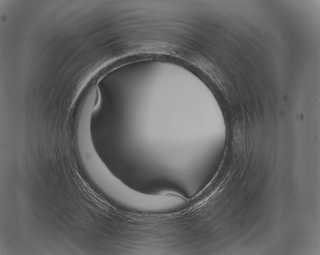 X0000083610926200703121558