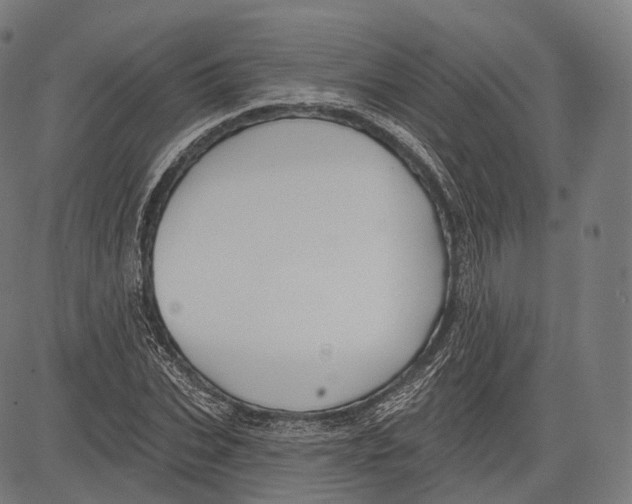 X0000083610927200703121559