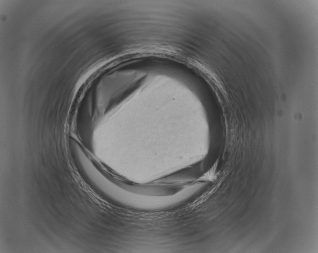 X0000083610928200703121559