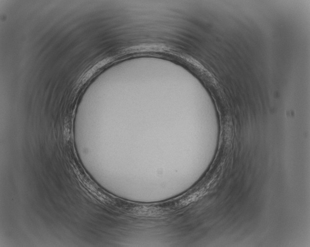 X0000083610929200703121559