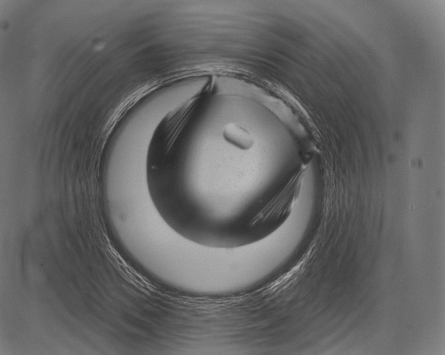 X0000083610930200703121559