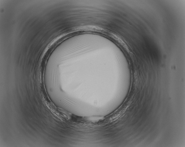 X0000083610931200703121559