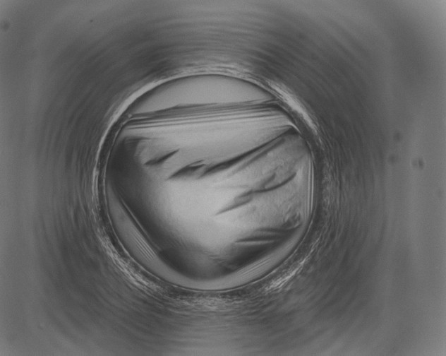 X0000083610932200703121559