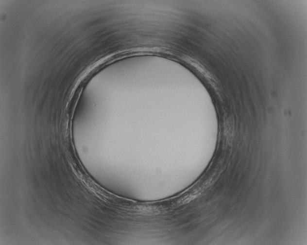 X0000083610933200703121559