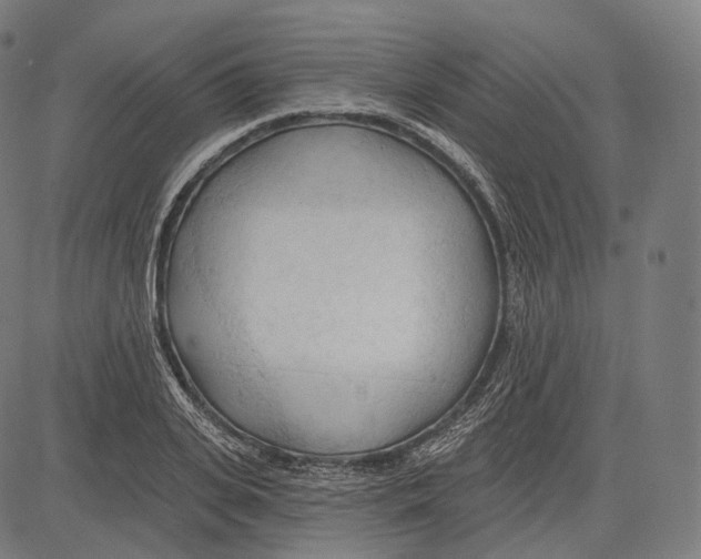 X0000083610935200703121559