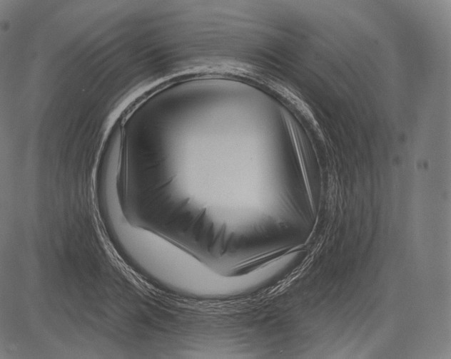 X0000083610936200703121559