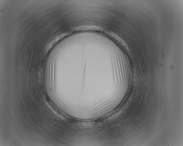 X0000083610937200703121559