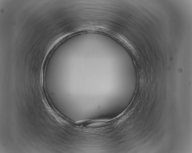 X0000083610940200703121559