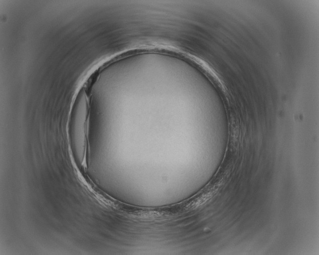 X0000083610943200703121559