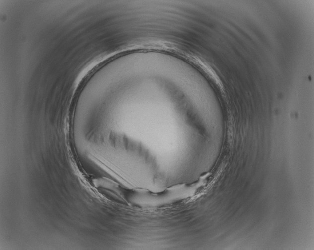 X0000083610944200703121559