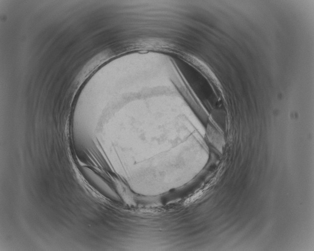 X0000083610946200703121559