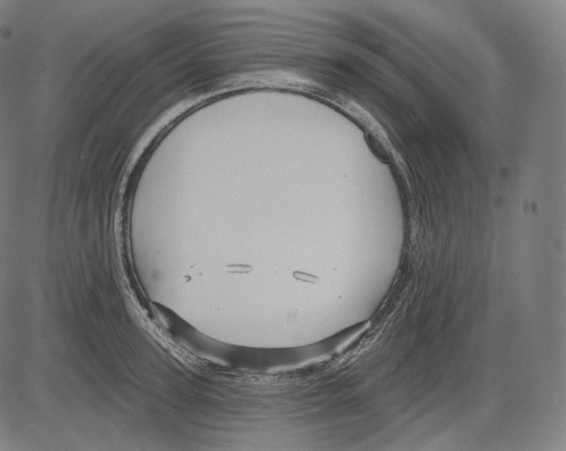 X0000083610947200703121559