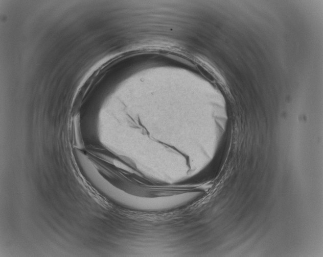 X0000083610948200703121559