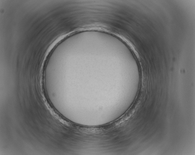 X0000083610949200703121559