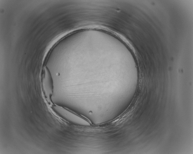 X0000083610951200703121559