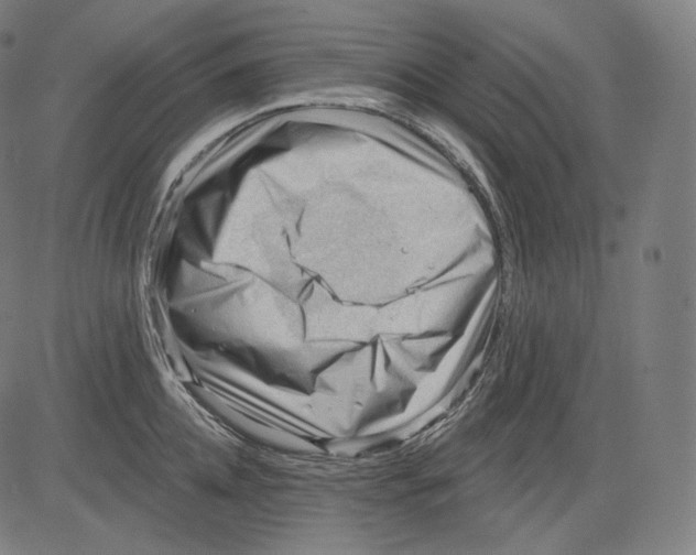 X0000083610952200703121559