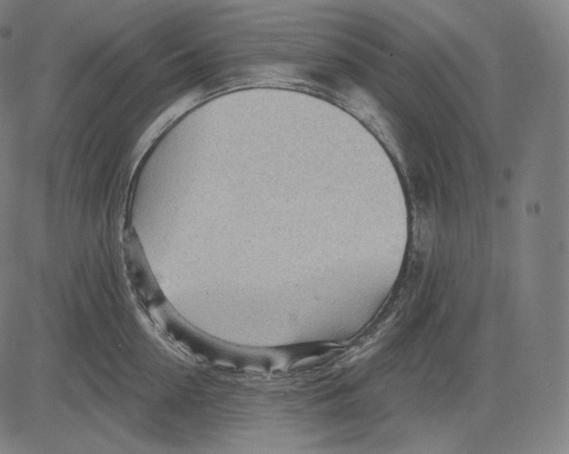 X0000083610954200703121559