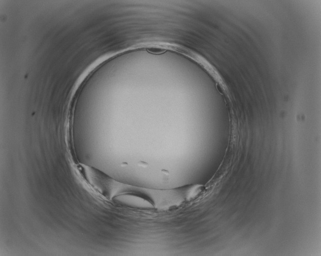 X0000083610955200703121559