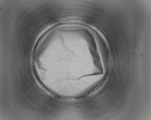 X0000083610957200703121559