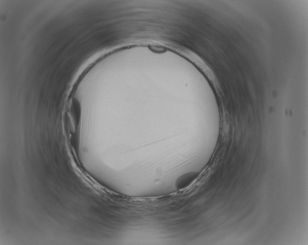 X0000083610958200703121559