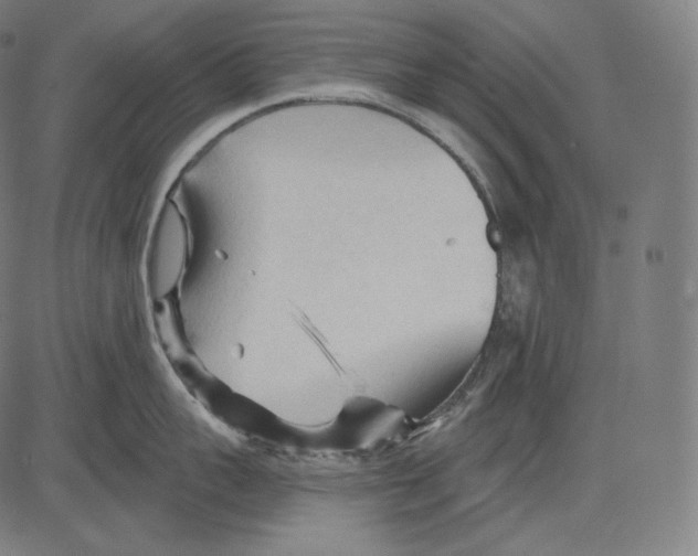 X0000083610959200703121559