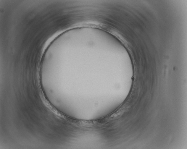 X0000083610960200703121559