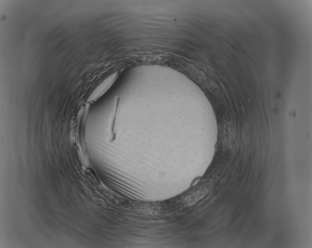 X0000083610962200703121558