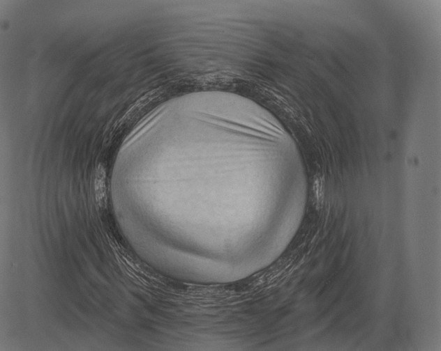 X0000083610963200703121558