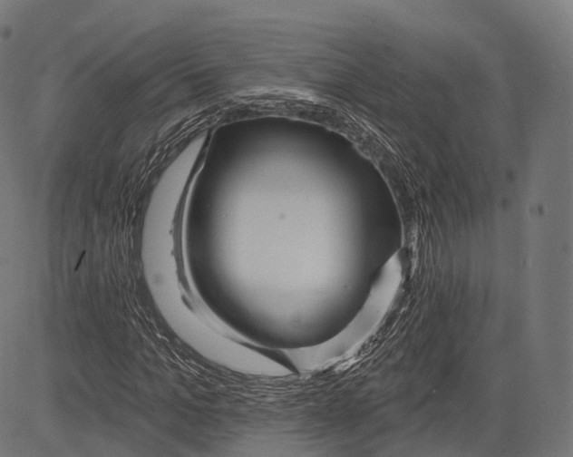 X0000083610965200703121558