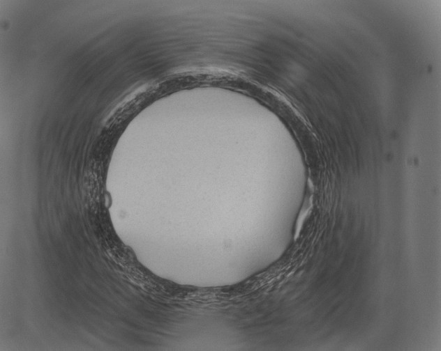 X0000083610967200703121558