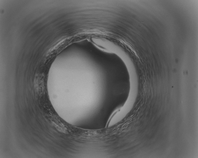 X0000083610968200703121558