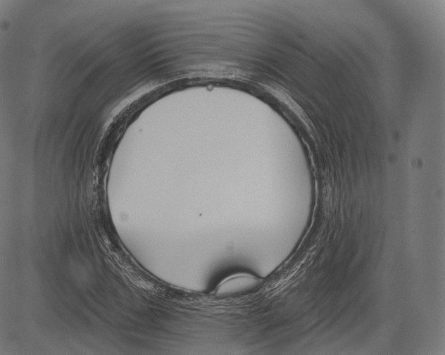 X0000083610971200703121558