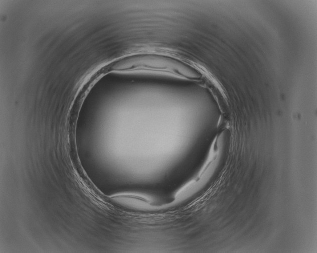 X0000083610972200703121558