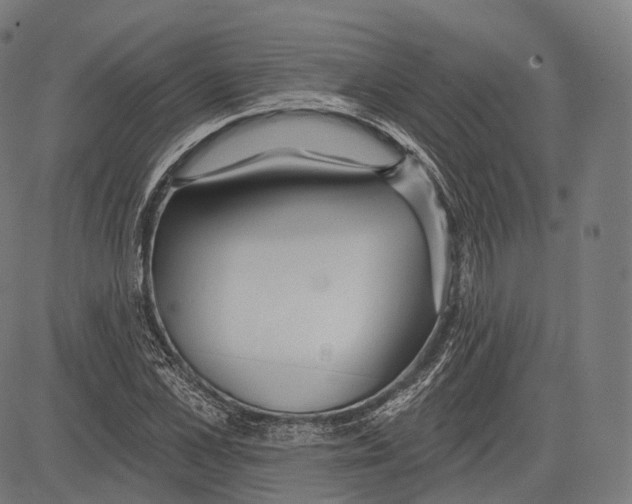 X0000083610973200703121558