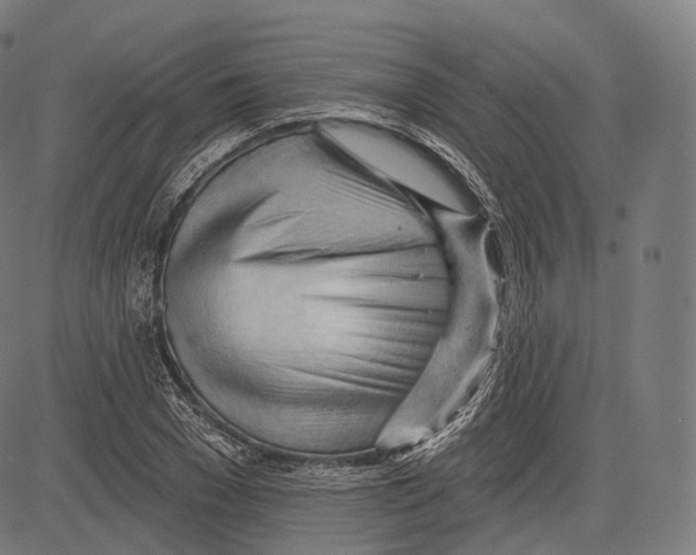 X0000083610977200703121558