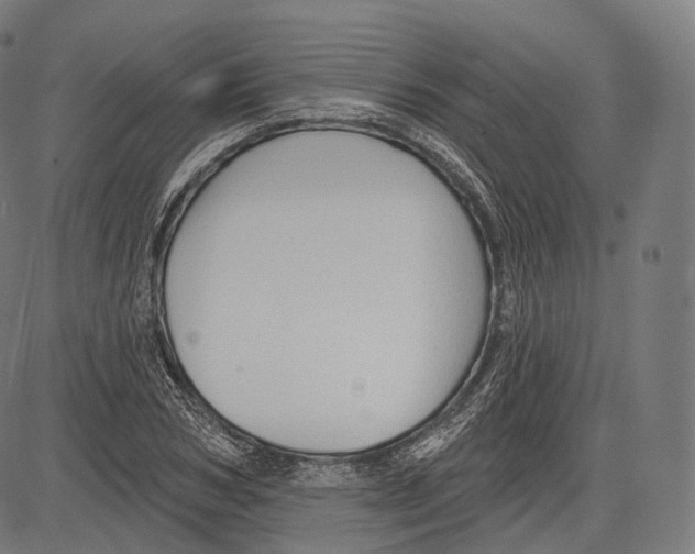 X0000083610978200703121558