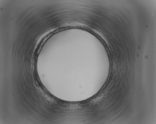 X0000083610979200703121558