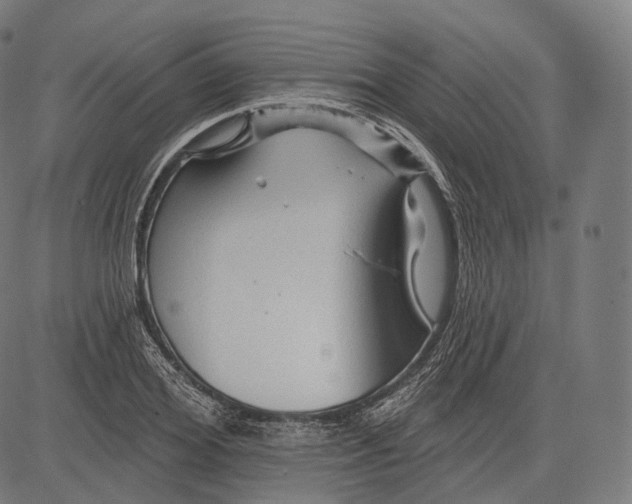 X0000083610980200703121558