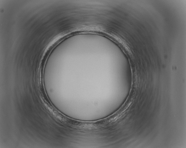 X0000083610982200703121558