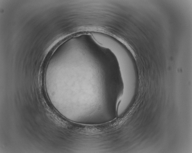 X0000083610983200703121558