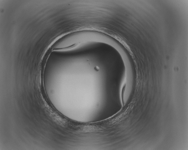 X0000083610984200703121558