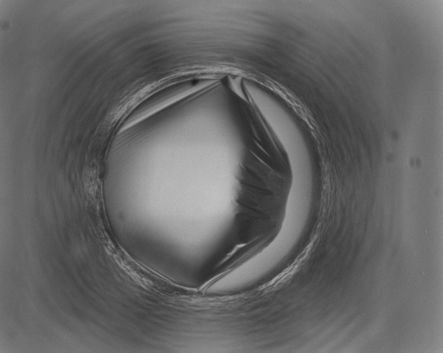 X0000083610985200703121558