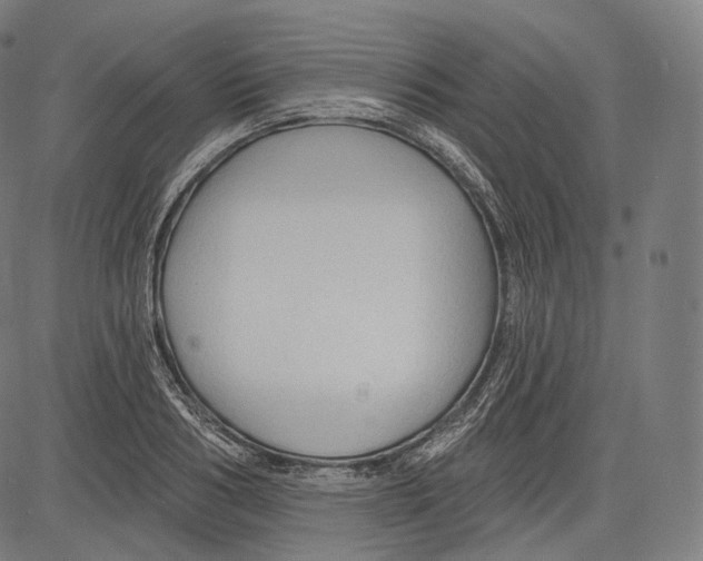 X0000083610986200703121558